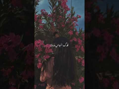 قدك المياس ياعمري