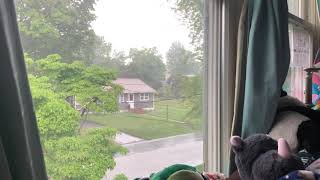 summer rainstorm - june 2020