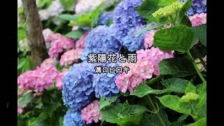 Video thumbnail of "紫陽花と雨 ／ 溝口ヒロキ"