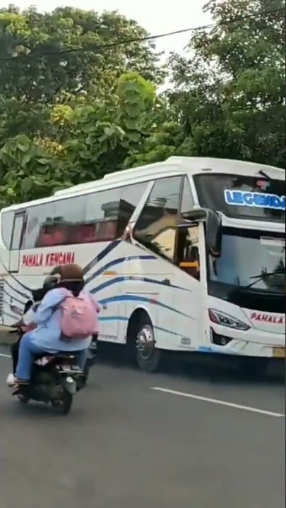 P.O Pahala kencana #pahalakencana #bismania