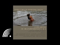 João Carlos Martins' Bach - Concertos de Brandenburgo 1 a 6 - Oficial