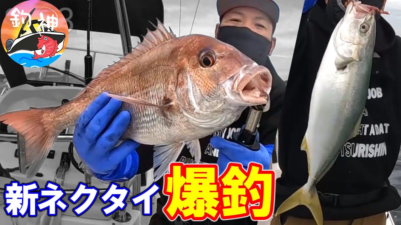 【東京湾】マイボートで新しいタイラバネクタイ試したら真鯛に青物も釣れた！