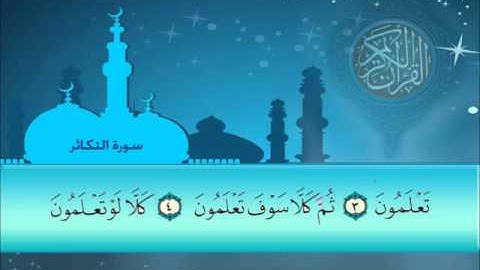 سورة التكاثر سلمان العتيبي