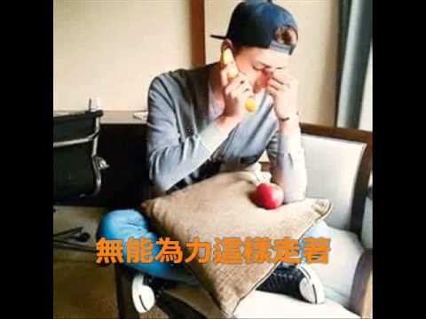 鹿晗 我讓你走了 歌詞版