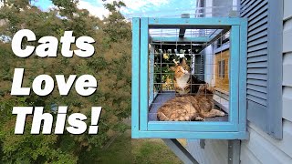 Cats Love Their DIY Treetop Balcony