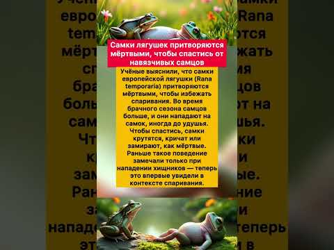 Самки лягушек притворяются мёртвыми,чтобы спастись от навязчивых самцов #хочуфакты #интересное #frog