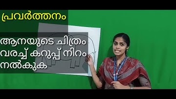 Std 1 Integration Unit 9 Class 46 White Board HI