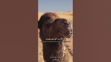 سورة الشعراء Surah Al-Hijr  61-66 -