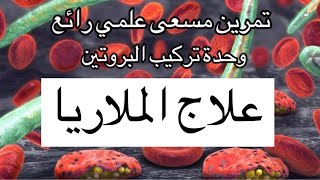 تمرين حول تركيب البروتين|المضادات الحيوية|بكالوريا 2024 ❌ حذار من هذه الاخطاء