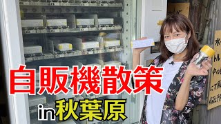 #65秋葉原の自販機