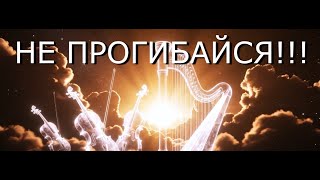 картинка: «НЕ ПРОГИБАЙСЯ»-Автор текста Виктория Резник-песни 2025
