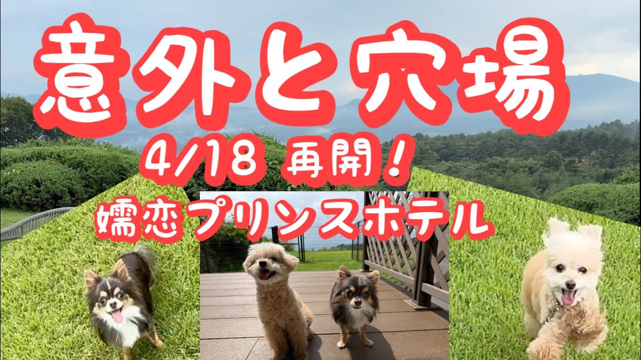 気持ちよすぎるこのホテル実は穴場。4月18日営業再開のつま恋プリンス ➕絶品キャベツ