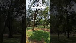 Cubbon Park, Bengaluru, Karnataka, India #bangalore #shorts