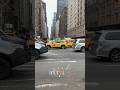 Good morning from New York… The sounds and sites are unmistakable #nyc #manhattan #centralpark