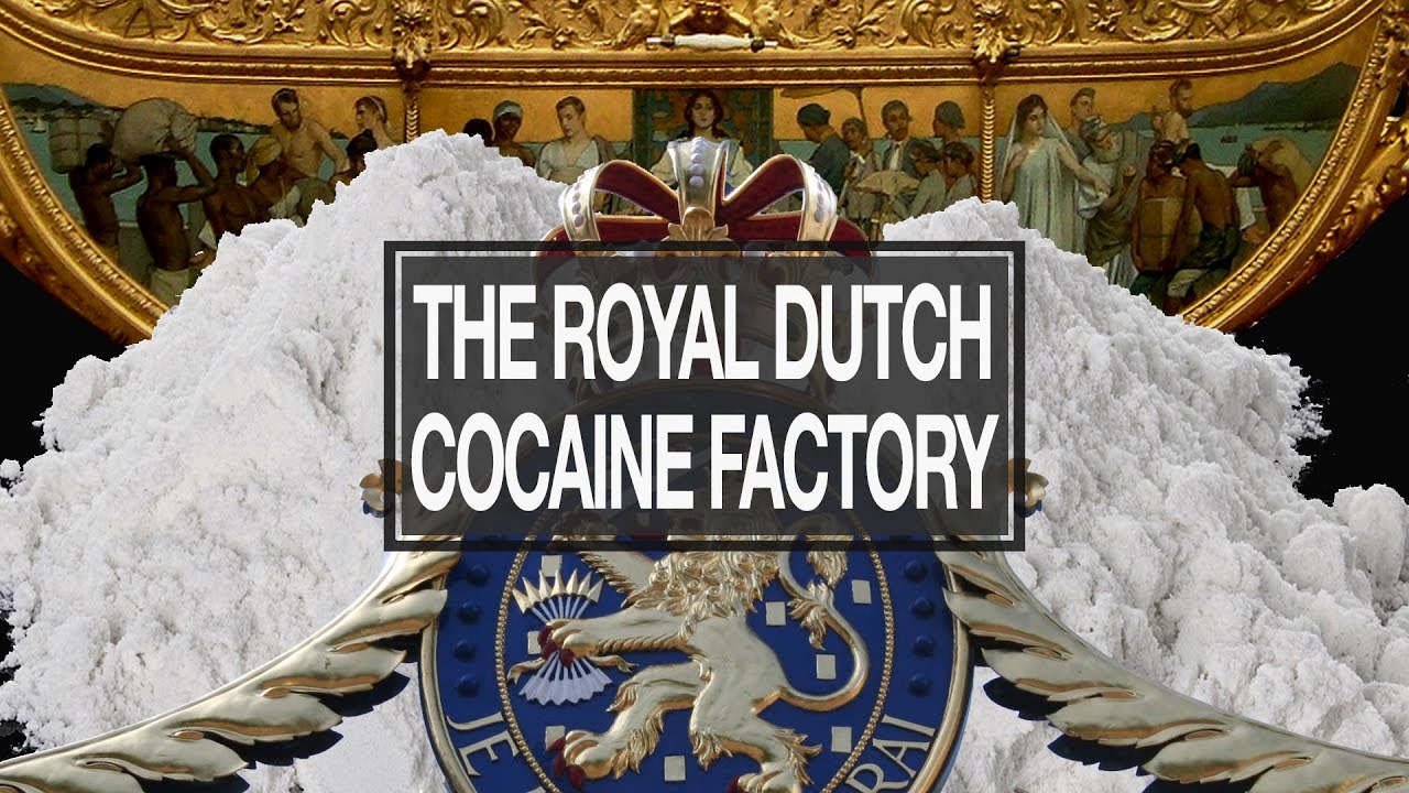 The Royal Dutch Cocaine Factory (English Subtitles) - YouTube