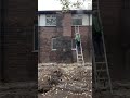 House cleaning removing grass and moss process #cleaning #restoration
