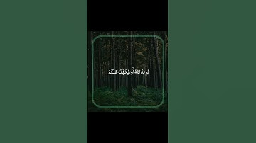 سورة النساء | محمد صديق المنشاوي