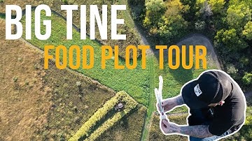 Big Tine Food Plot Tour!