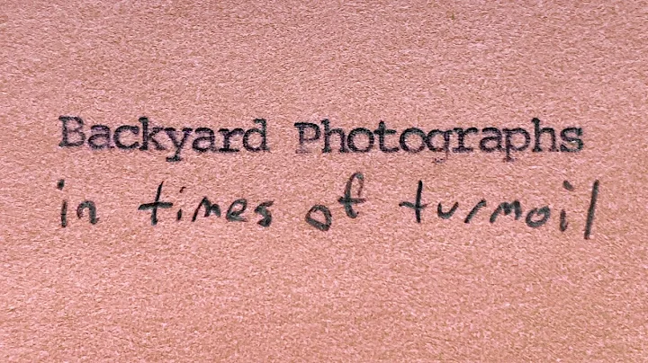Backyard photographs (in times of turmoil)