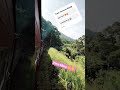 Did you?🚞🤘🔥 #travel #srilankatravel #traveldestinations #shortvideo #srilanka #kandy #train #short
