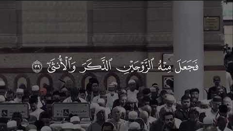 #تلاوة_الخاشعة#للقارئ_الشيخ#إمام_المسجد_النبوي#القارئ_الشيخ#عبد_الله_القرافي#سورة_القيامة