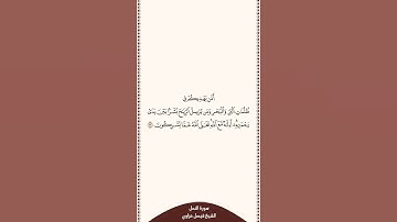تلاوة في ٣٠ ثانية سورة النمل الآية ٦٣ الشيخ فيصل غزاوي