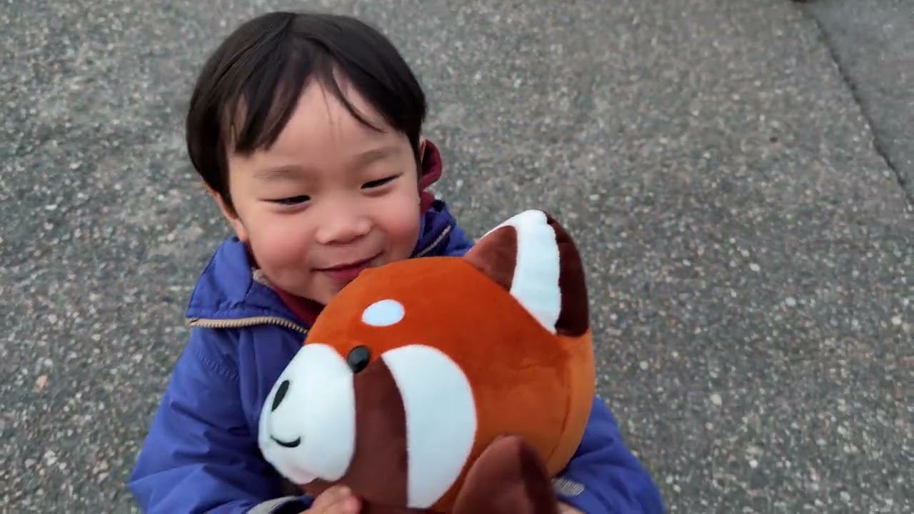 Souvenirs : Japon, en route vers Kyushu (Partie 1)