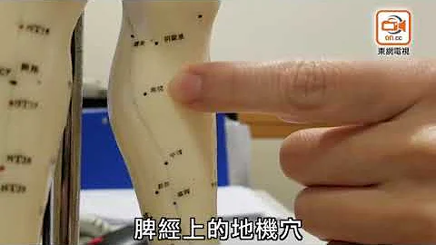 Dr 東：子宮肌瘤OL高危　中藥加針灸半年可改善 - 天天要聞