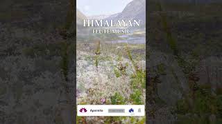 Morning Flute Music | Himalayan Flute Music | Meditation Music | (बाँसुरी) Aparmita Ep. 49 shorts