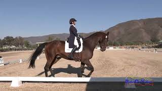 017D Taren Hoffos on Master Class CCI3* Long Dressage Galway Downs Nov. 2023