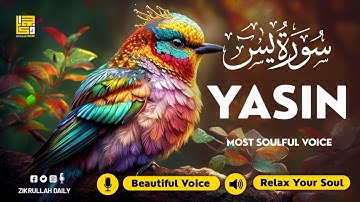 Surah Yasin (Yaseen) سورة يس ✦ Beautiful voice heart touching ✦ Soulful Quran For Sleep ✦ Alaa Aqel