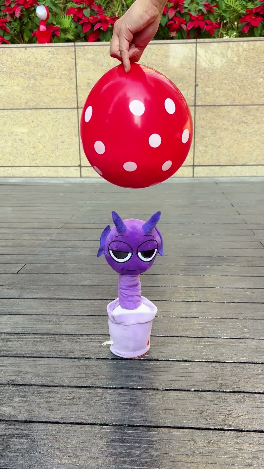 Durple vs flowers in balloon