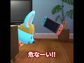 落としそう‼︎ #あつ森 #あつ森アプデ