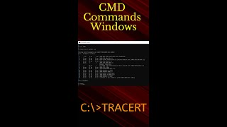 TRACERT: Trace Route Computer Tips & Tricks screenshot 2