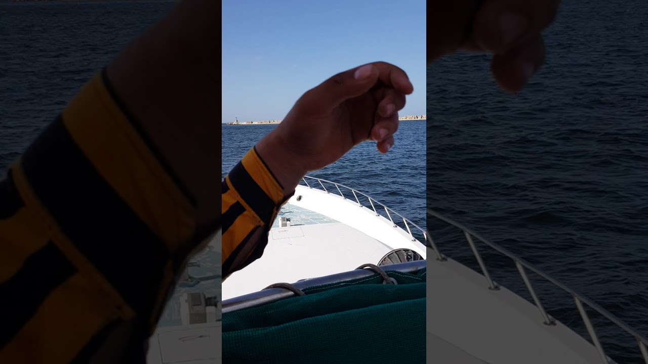 تدريب الميناء فيديو لطلاب معهد اللاتصالات اللاسلكي