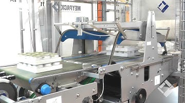 Meypack tray-shrink packaging machine, to pack cans into Trays with film and with tray stacking