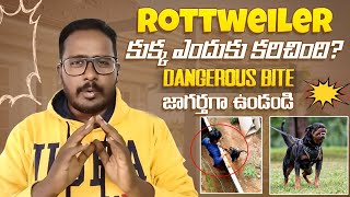 Rottweiler Dangerous Dog 🤯? | Rottweiler చాలా ప్రమాదకరమైన కుక్క Breed ah?? by Pet's TV Telugu 22,081 views 1 year ago 8 minutes, 56 seconds