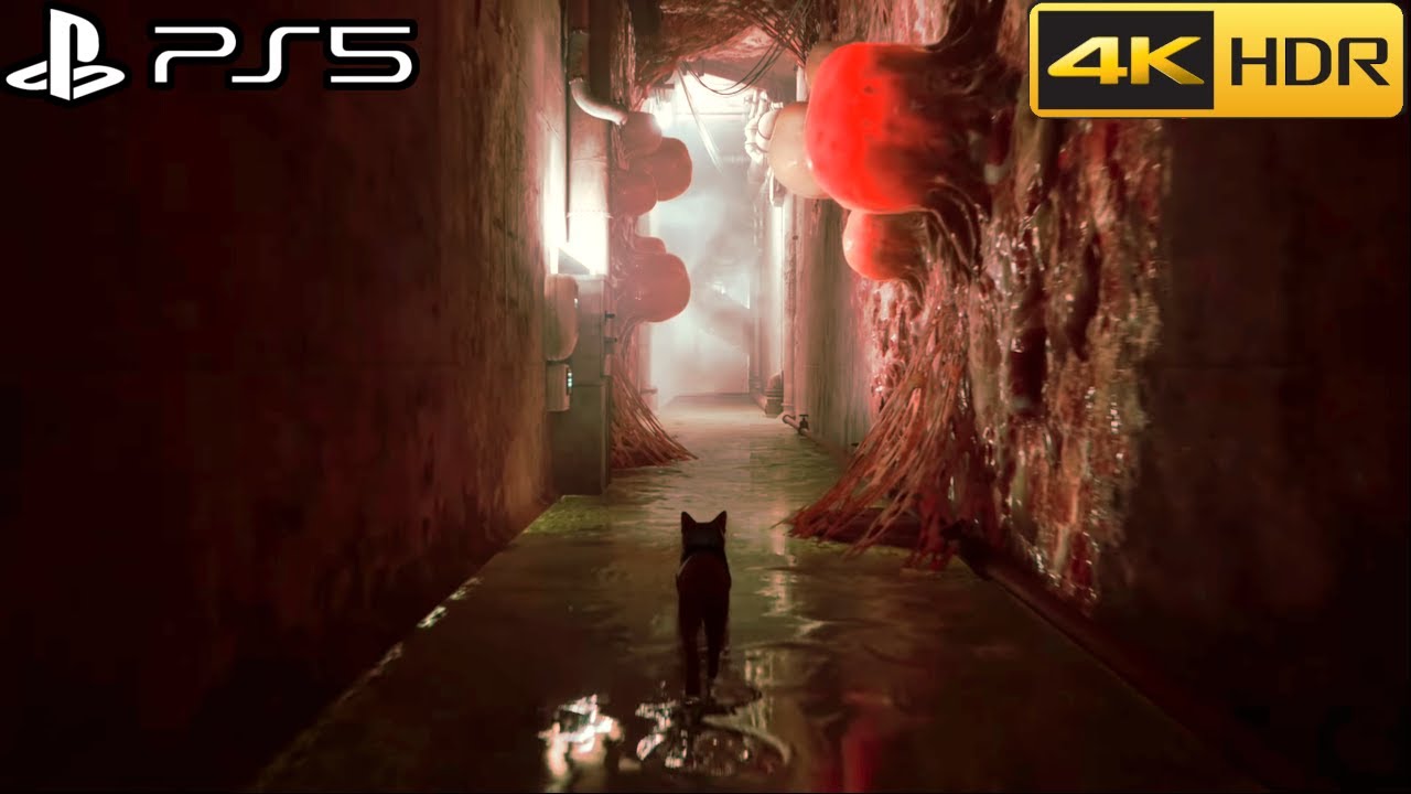 Stray PS5 Gameplay (First 30 minutes) - [4K 60FPS HDR] PS5 Version