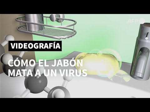 Cómo el jabón
