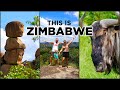 Road trip zimbabwe travel guide by 4x4 camper for history culture and safari