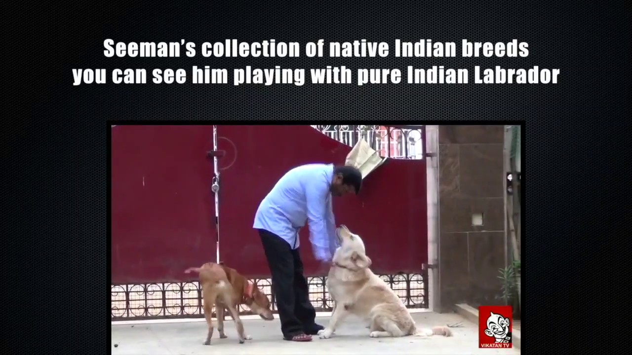 Seeman's talk about Imported Dog Breeds - YouTube