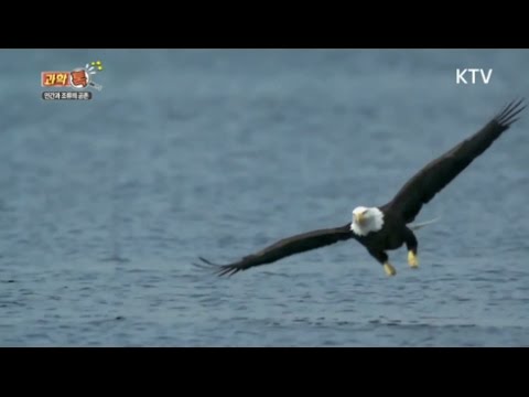 [과학톡 16화] 조류학으로 알아보는 융합과학