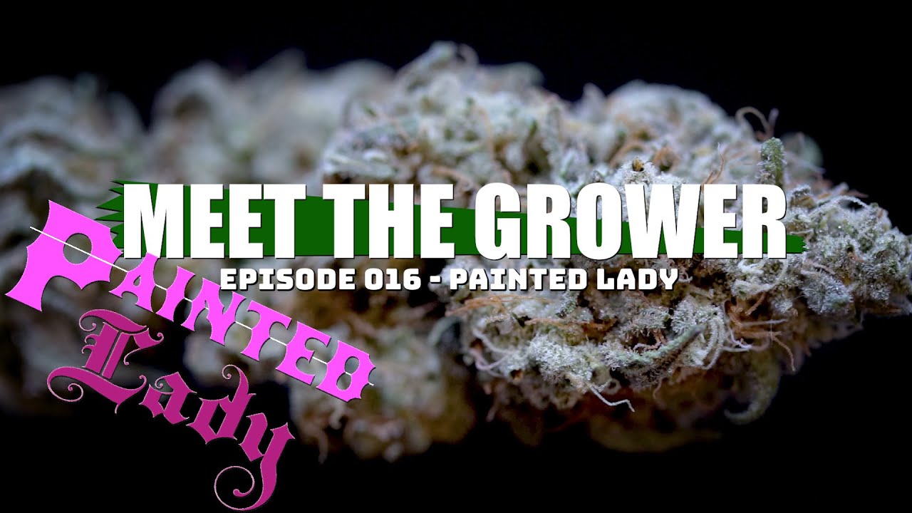 Meet the Grower Ep. 016 - Painted Lady