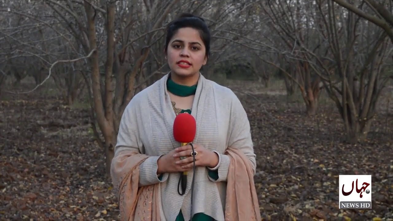 Autumn Season In Pakistan Beautiful Days And Beautiful Season