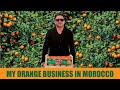 My Orange Business in Morocco || മൊറോക്കോയിലെ എന്റെ നാരങ്ങ കച്ചവടം