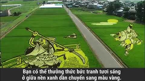 Đây là cách người nhật trồng lúa nước.