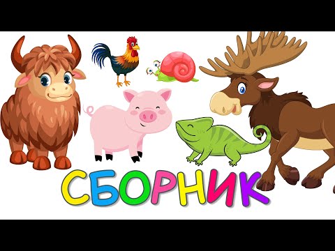 Учим Животных Сборник - Зоопарк | Викторина | Как Говорят Животные | Развивающие Мультики Для Детей