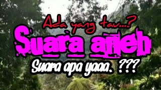 Suara Aneh Diparkiran Curug Cilember Puncak