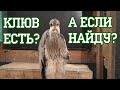 Длинноносые детки