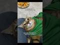 Karena Kelakuannya Abang Gojek Ini Di Kasih Bintang Satu #shorts #cat #animals #kucing #funny #pets